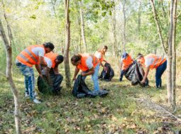 Volunteer Program