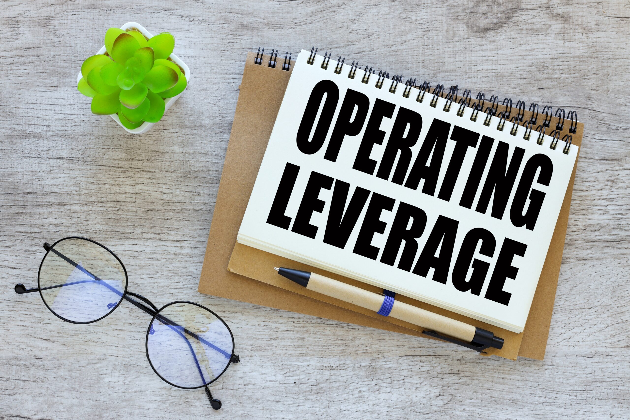 glasses and a plant on a desk next to a notebook with the words Operating leverage spelled out in black block letters